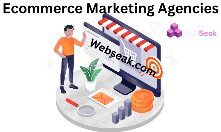 Ecommerce Marketing Agencies