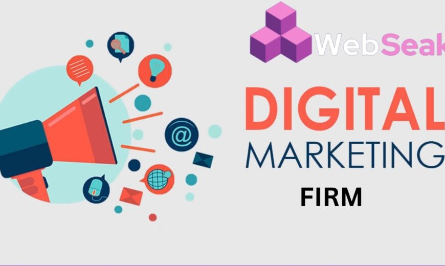 Digital Marketing Firms