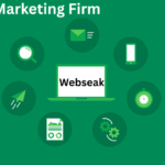 Digital Marketing Firm