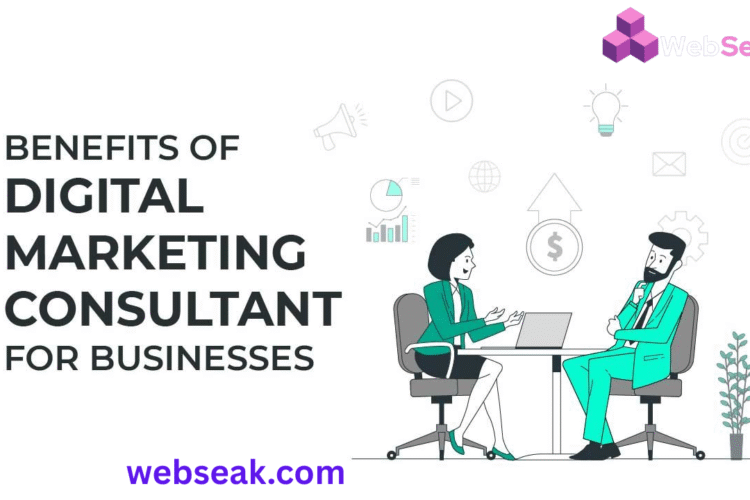 Digital Marketing Consultant