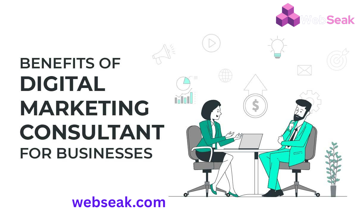 Digital Marketing Consultant