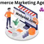 Ecommerce Advertising Agency