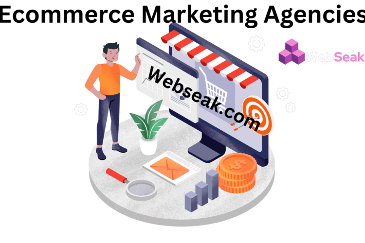 Ecommerce Advertising Agency