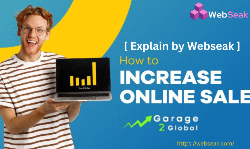 Online Sales by Garage2Global