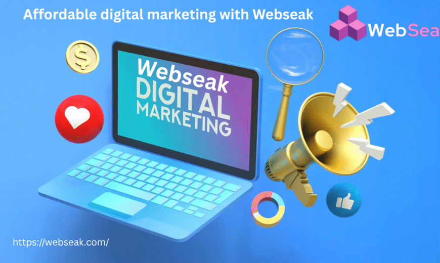 Affordable Digital Marketing with Webseak