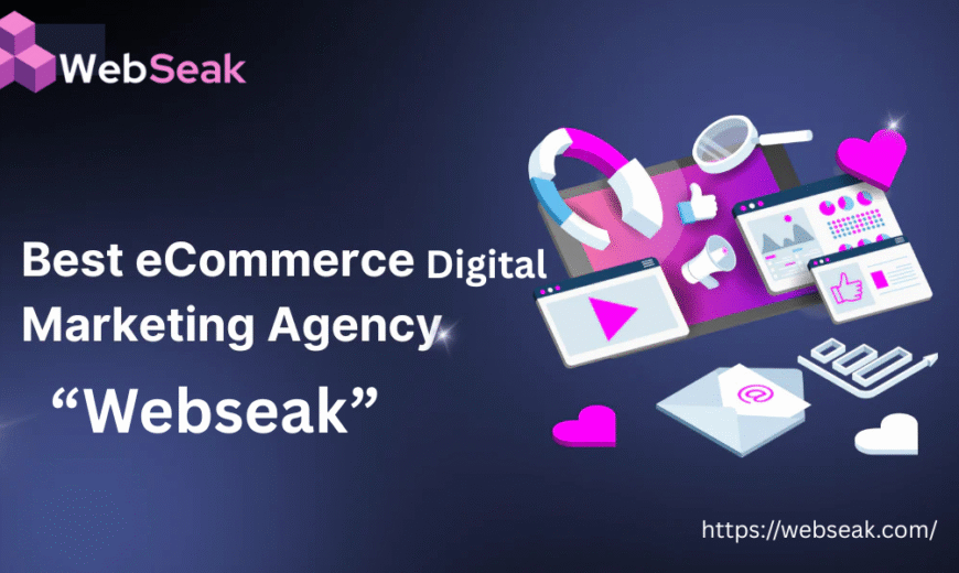 Ecommerce Digital Marketing Agency