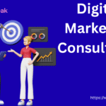 Digital Marketing Consultants