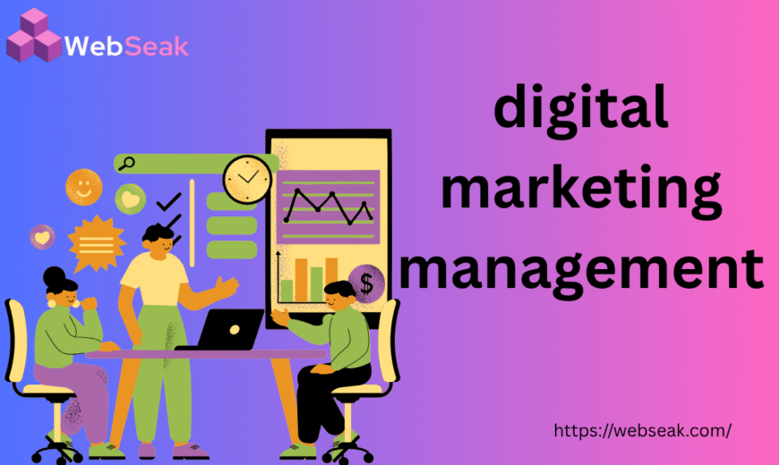 digital marketing management