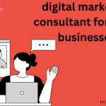 Digital Marketing Consultant for Small Businesses