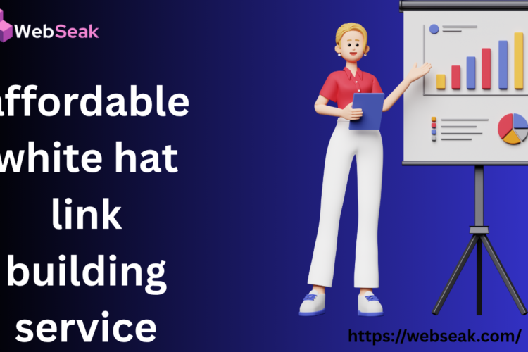 affordable white hat link building service