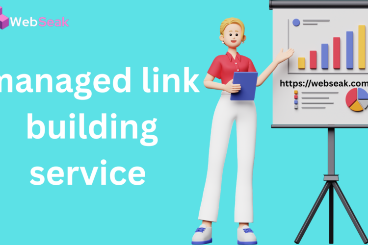 Managed Link Building Service