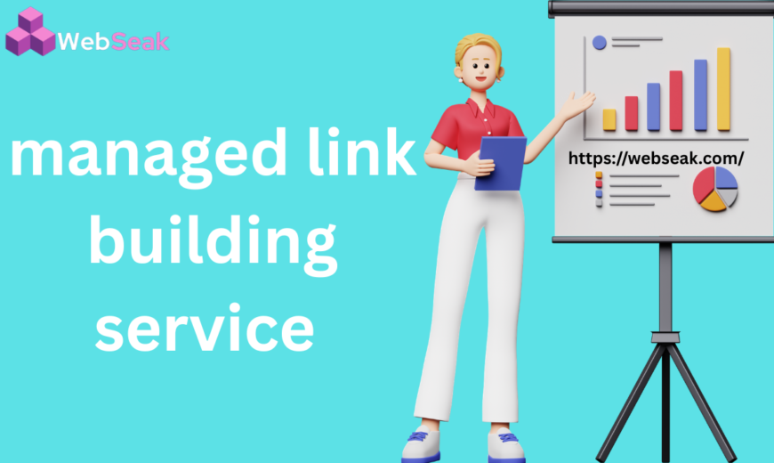 Managed Link Building Service