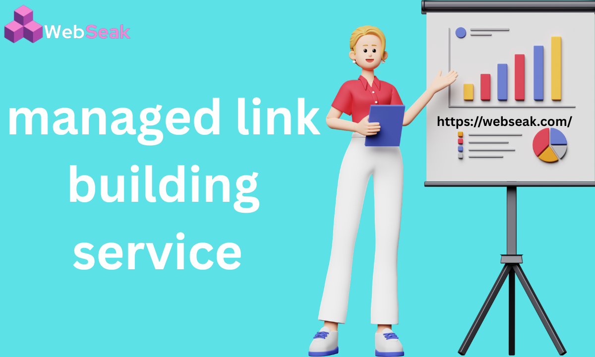 Managed Link Building Service