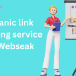 Organic Link Building Service