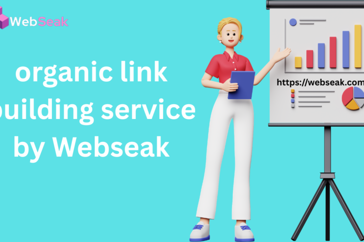 Organic Link Building Service