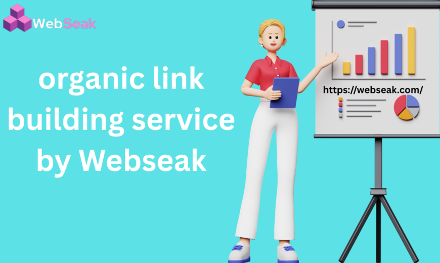 Organic Link Building Service