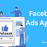 Facebook Ads Agency