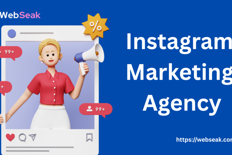 Instagram Marketing Agency