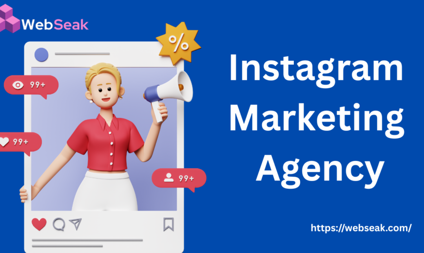 Instagram Marketing Agency
