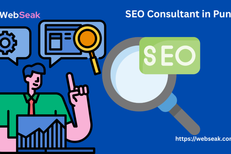 SEO Consultant in Pune