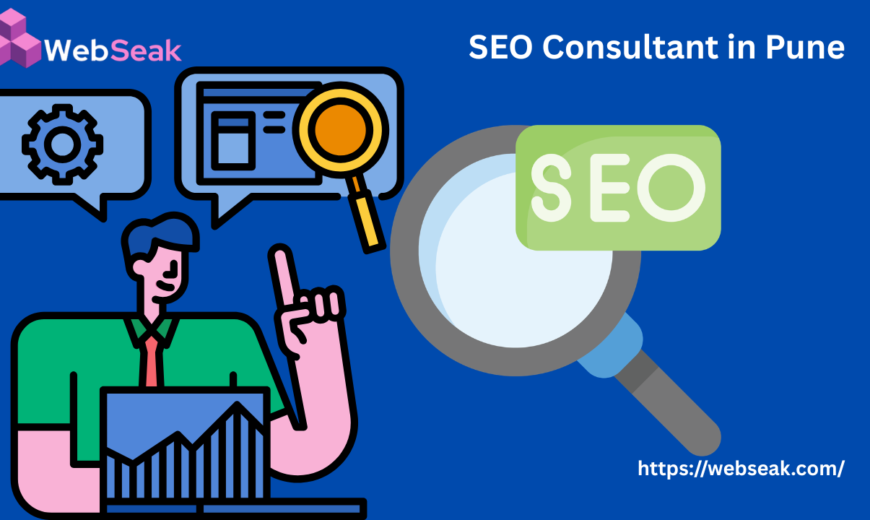 SEO Consultant in Pune